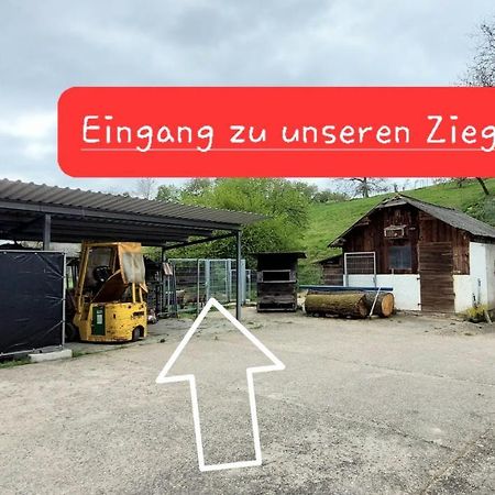 Ferienwohnung/Monteurzimmer Auf Dem Bauernhof Moerlenbach Bagian luar foto
