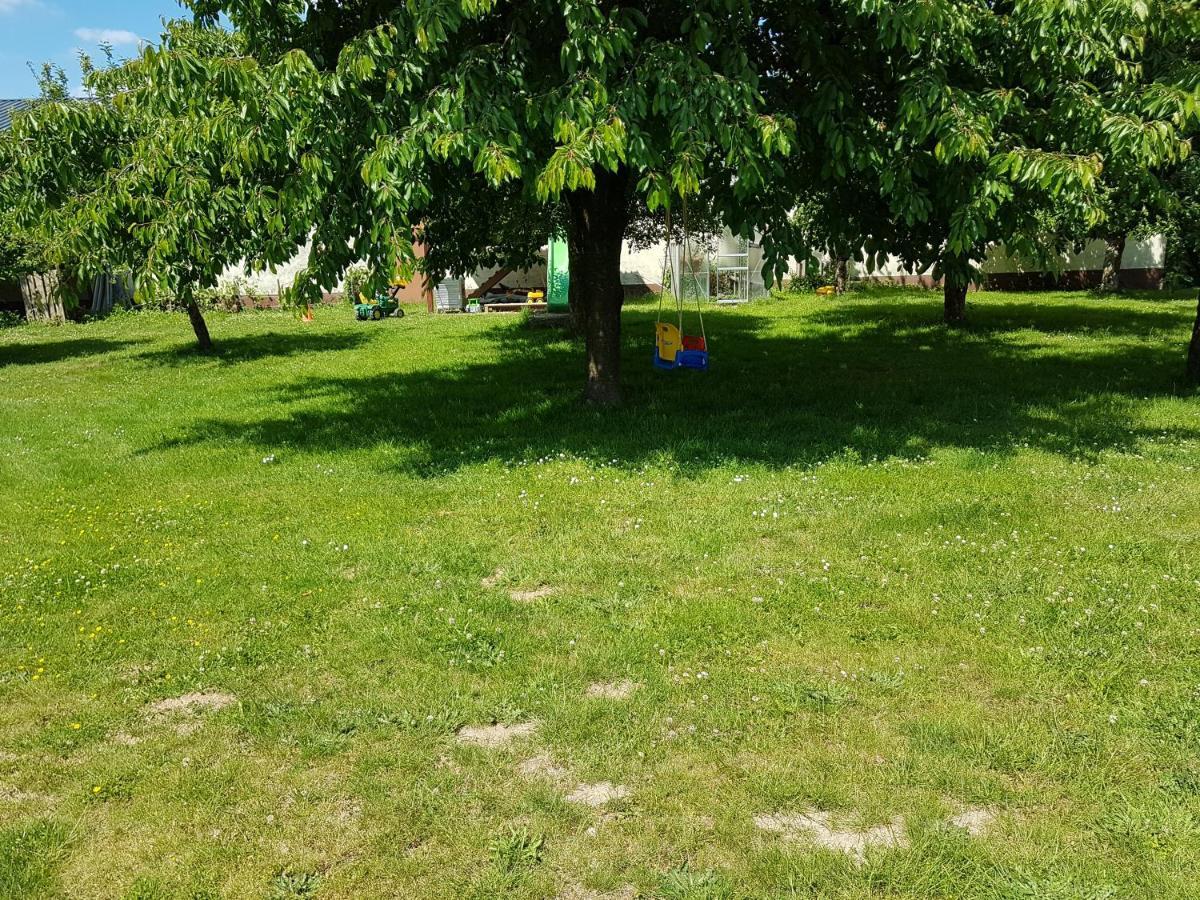 Ferienwohnung/Monteurzimmer Auf Dem Bauernhof Moerlenbach Bagian luar foto