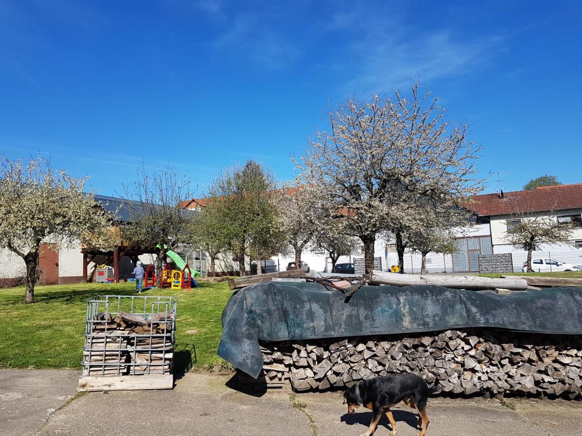 Ferienwohnung/Monteurzimmer Auf Dem Bauernhof Moerlenbach Bagian luar foto