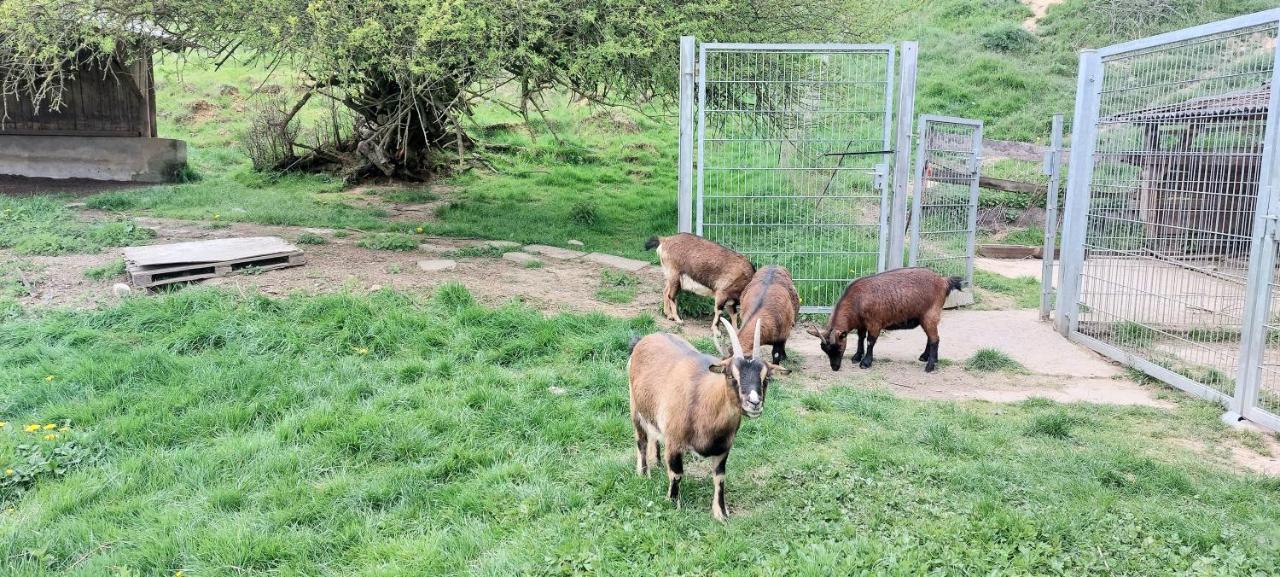 Ferienwohnung/Monteurzimmer Auf Dem Bauernhof Moerlenbach Bagian luar foto