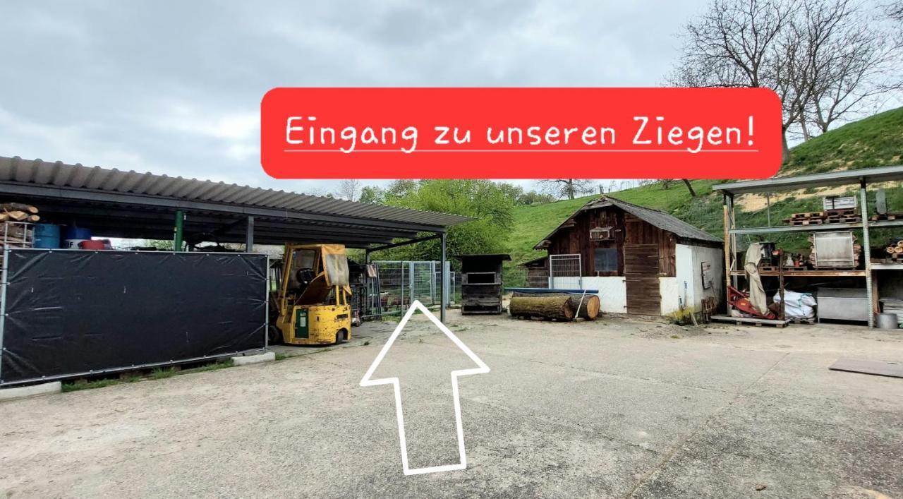 Ferienwohnung/Monteurzimmer Auf Dem Bauernhof Moerlenbach Bagian luar foto