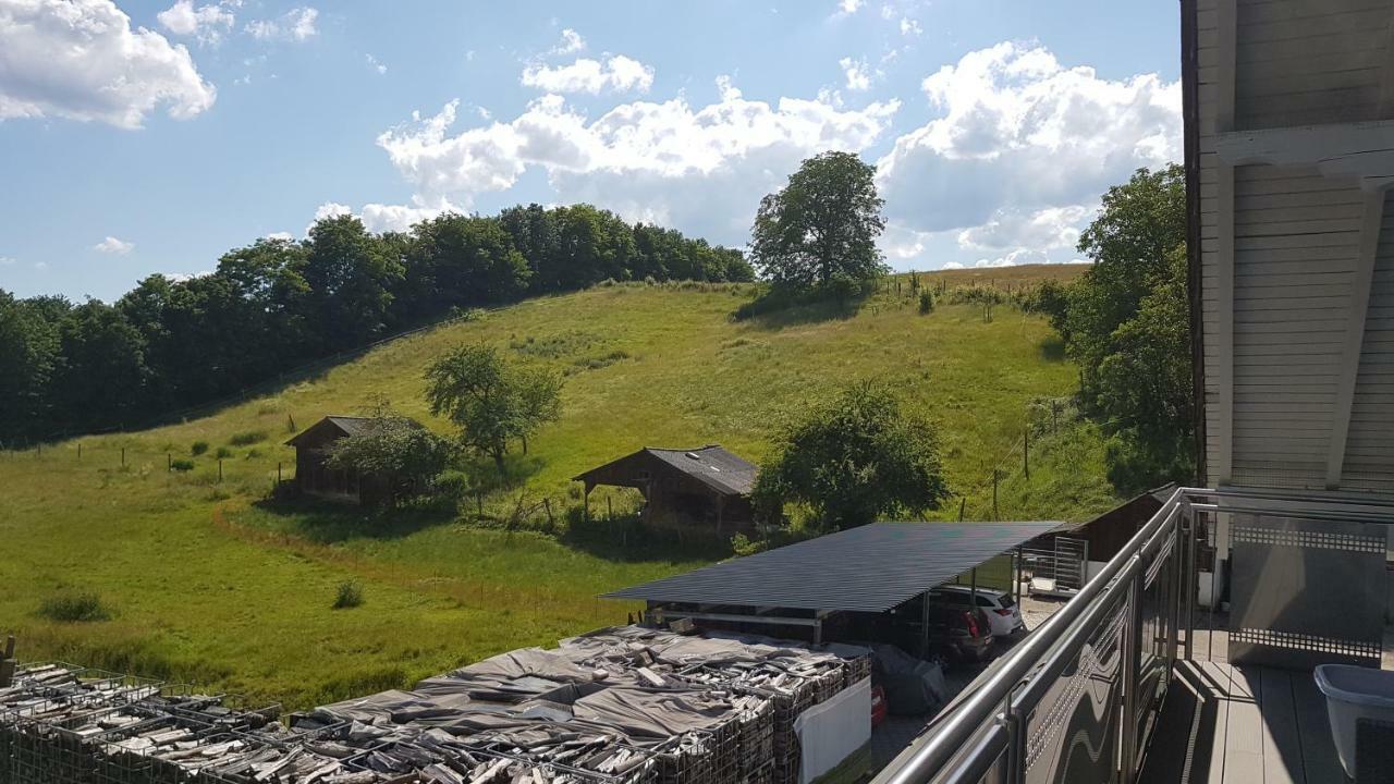 Ferienwohnung/Monteurzimmer Auf Dem Bauernhof Moerlenbach Bagian luar foto