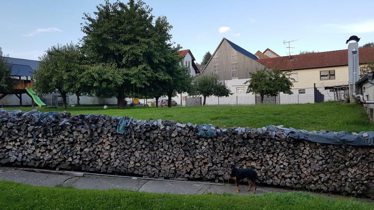Ferienwohnung/Monteurzimmer Auf Dem Bauernhof Moerlenbach Bagian luar foto