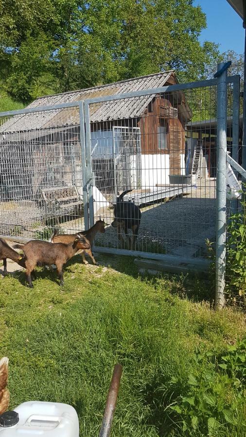 Ferienwohnung/Monteurzimmer Auf Dem Bauernhof Moerlenbach Bagian luar foto