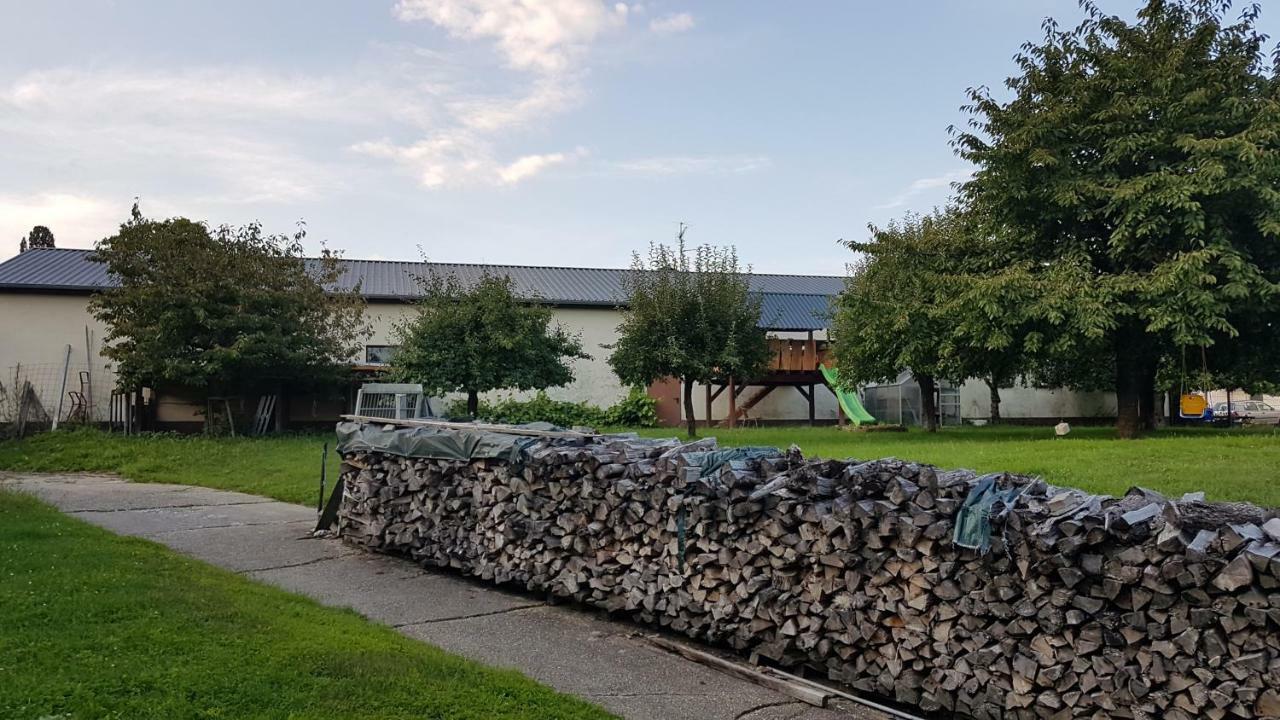 Ferienwohnung/Monteurzimmer Auf Dem Bauernhof Moerlenbach Bagian luar foto